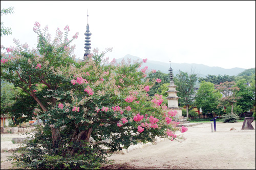 실상사 건립과 함께 새운 두 기의 삼층석탑(보물 제 37호). 